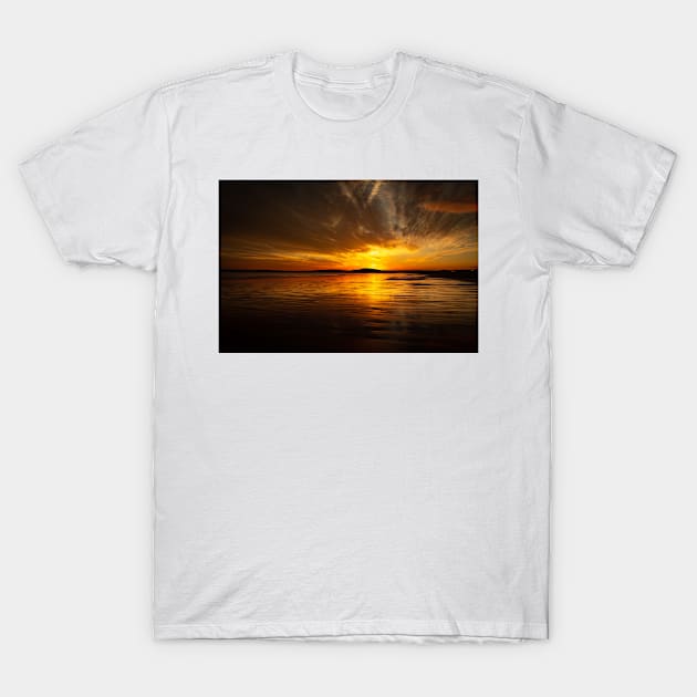 Fire in the Sky - 2013 T-Shirt by SimplyMrHill